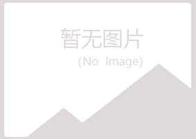 浔阳区山柳工程有限公司